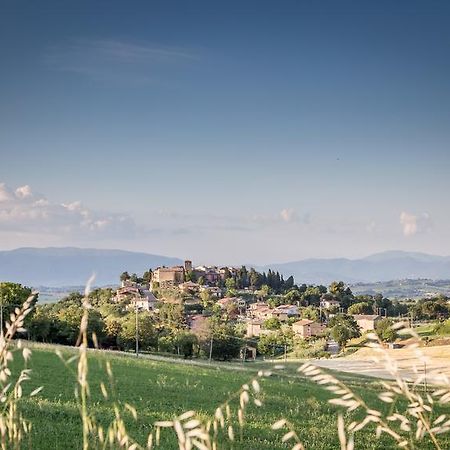 Bed and Breakfast Domus In Castro Montecchio  Exterior foto